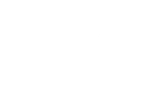 Maxx Paradox